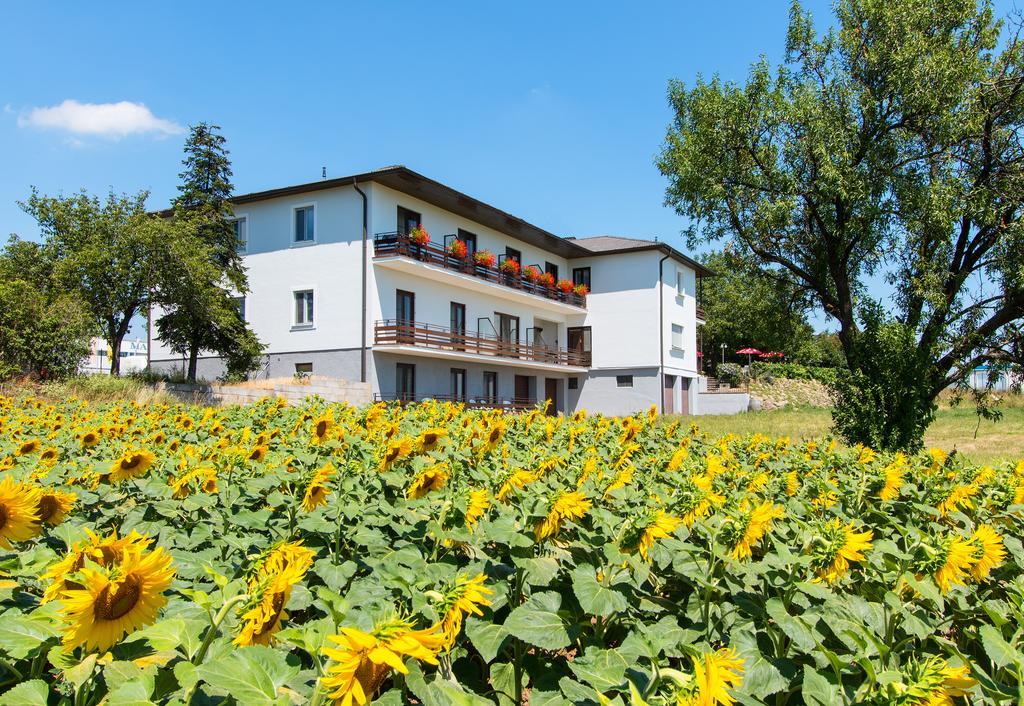 Gasthof-Pension Wein Breitenbrunn  Exterior photo